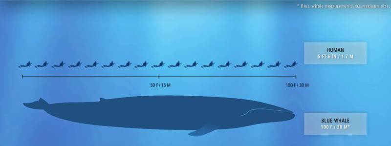 Yet-Another-Forum-Game---Numismatic-Go-Fish!
