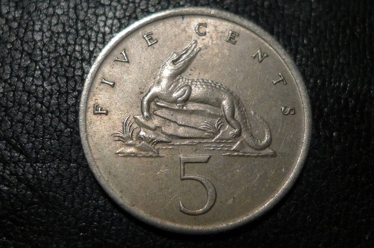 Post-Your-Coins-Representing-The-Animal-Kingdom.