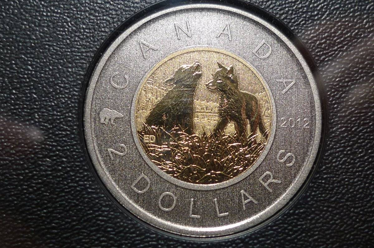 Whats-Up-With-This-2011-Toonie