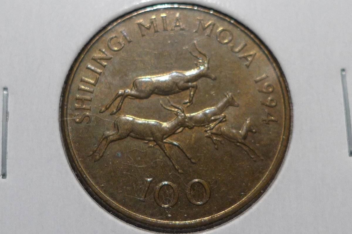 Around-The-World-With-Coins---A-Coin-Geography-Game