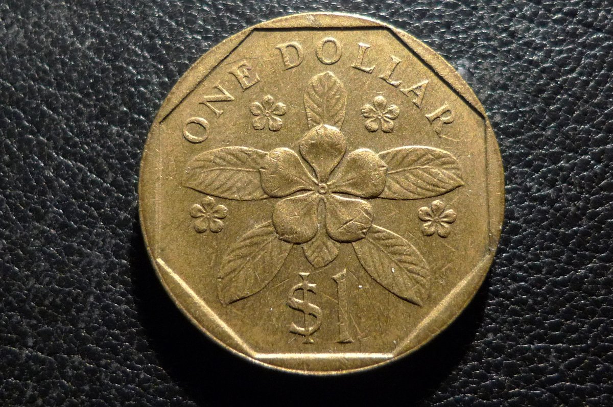 Show-Your-Coins-With-Different-Edges