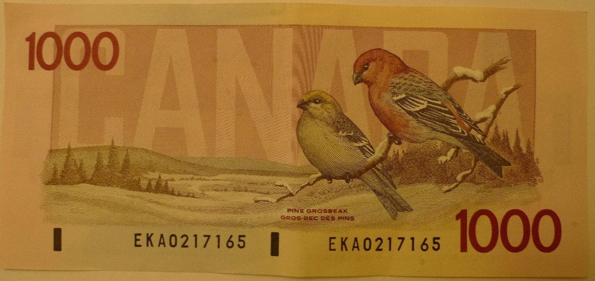 Latest-Banknotes-Acquisition.-List-Them-Here.