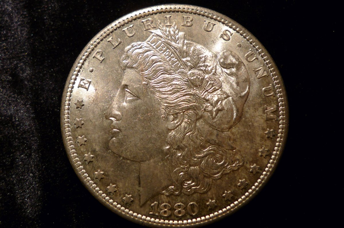 1880-S-Morgan-Dollar-Opinions