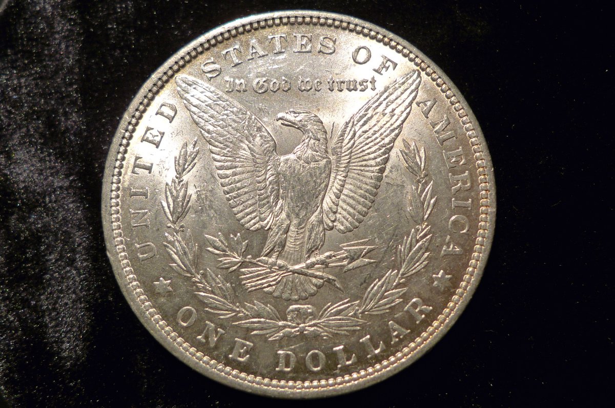 1881-Morgan-Dollar-Opinions