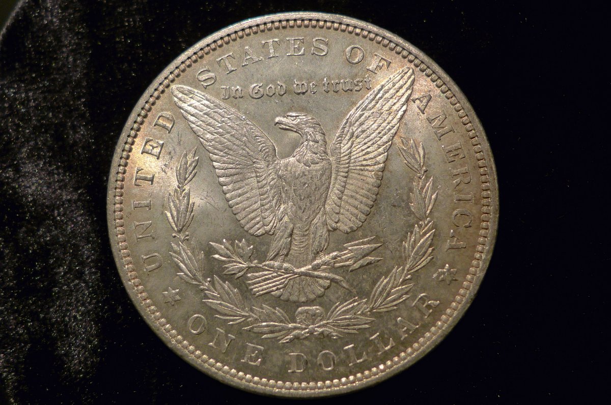 1883-Morgan-Dollar-Opinions.