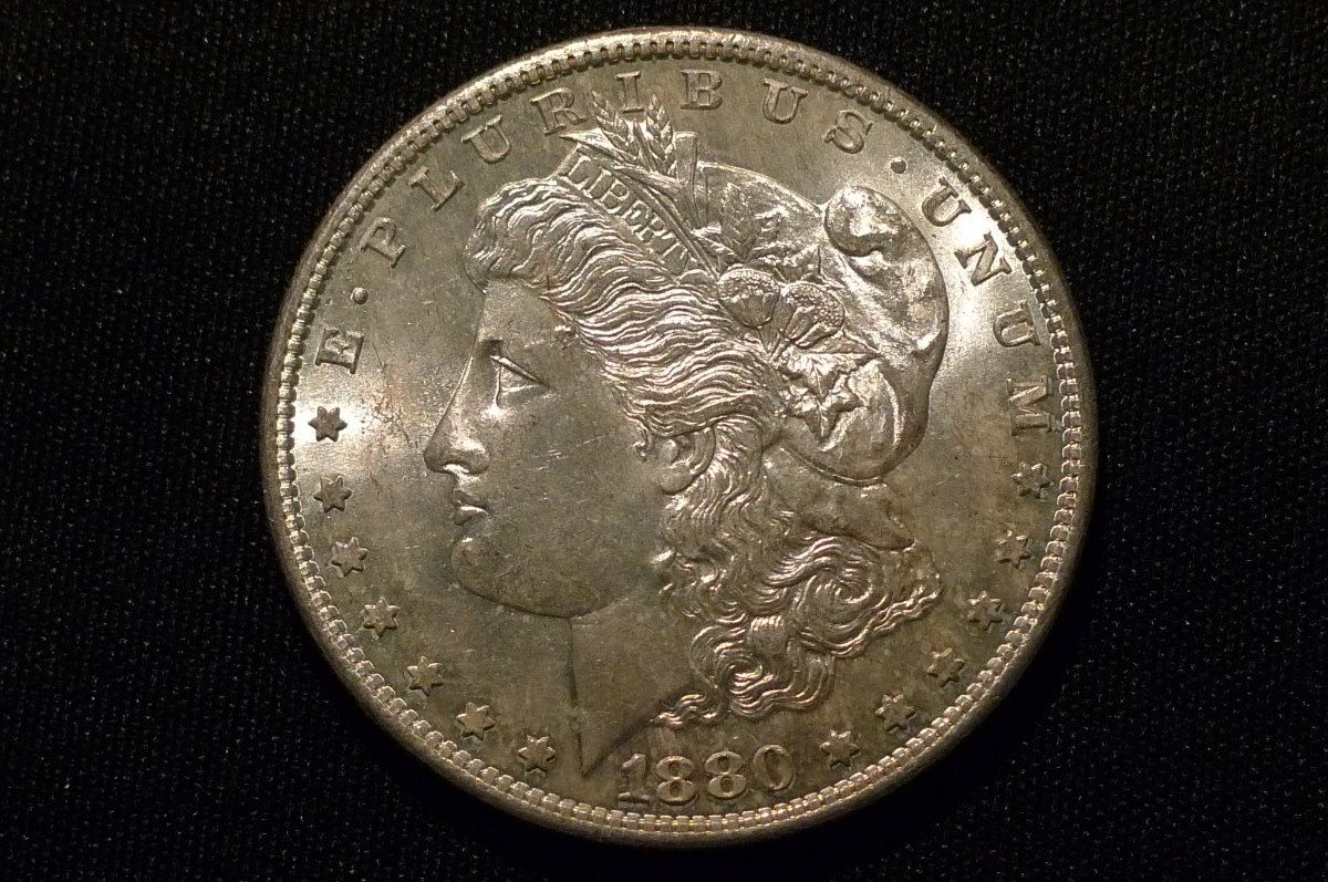 1880-S-Morgan-Dollar-Opinions