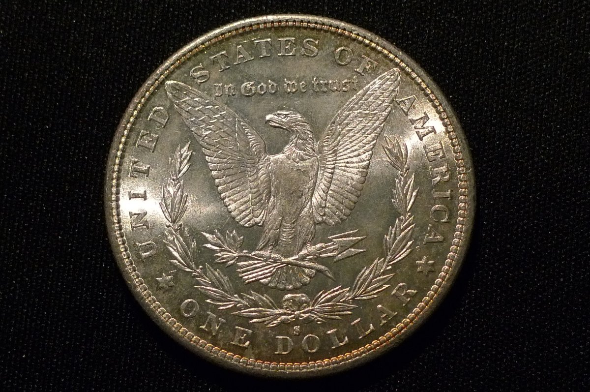 1880-S-Morgan-Dollar-Opinions