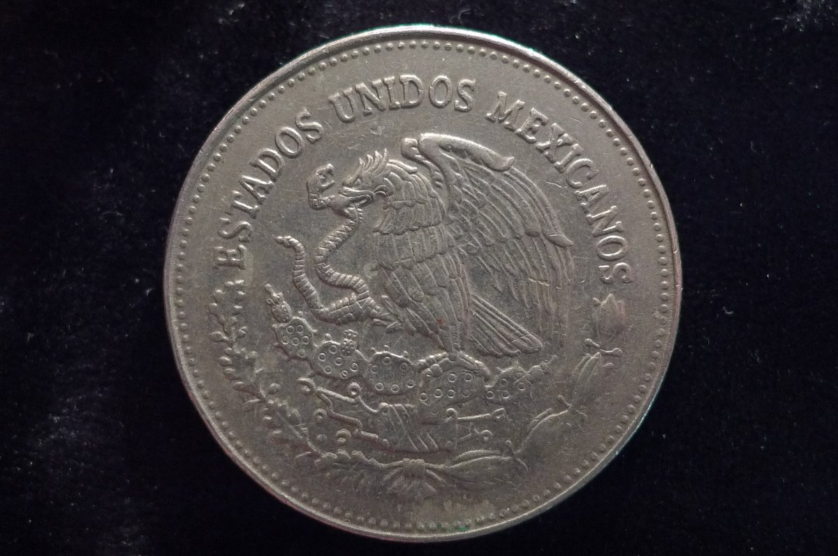 Yet-Another-Forum-Game---Numismatic-Go-Fish!