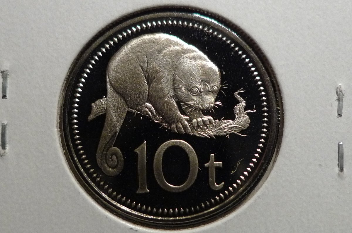 Around-The-World-With-Coins---A-Coin-Geography-Game