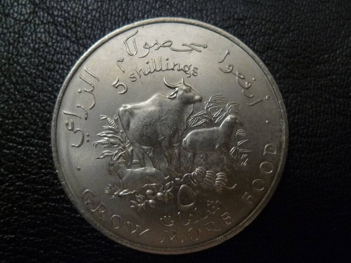 Yet-Another-Forum-Game---Numismatic-Go-Fish!