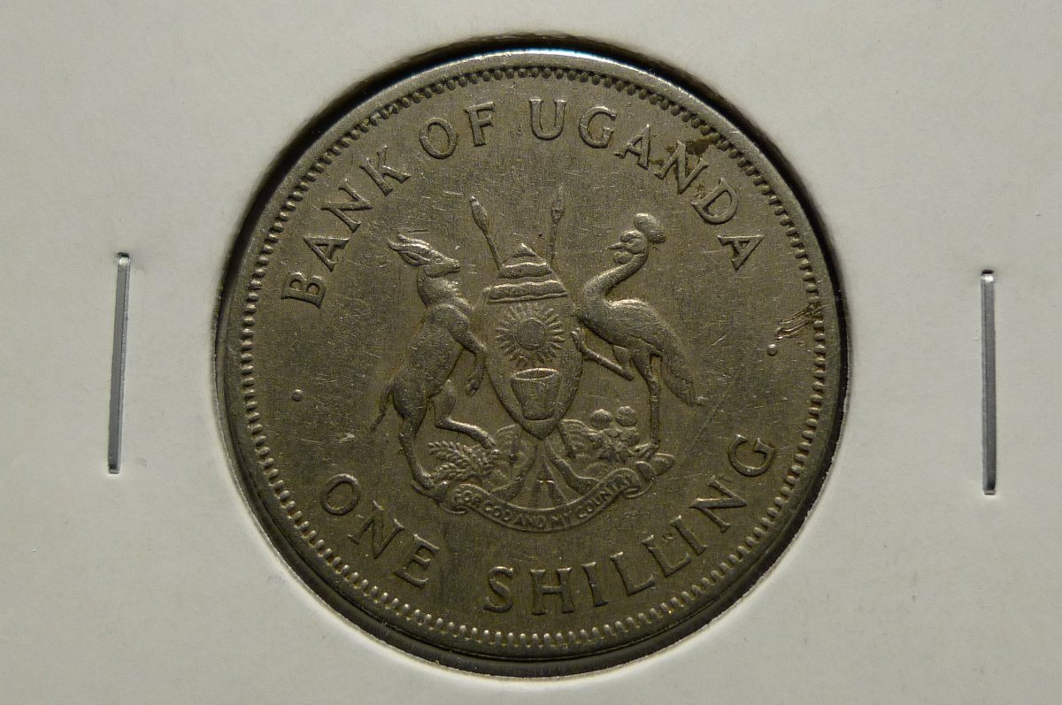 Yet-Another-Forum-Game---Numismatic-Go-Fish!