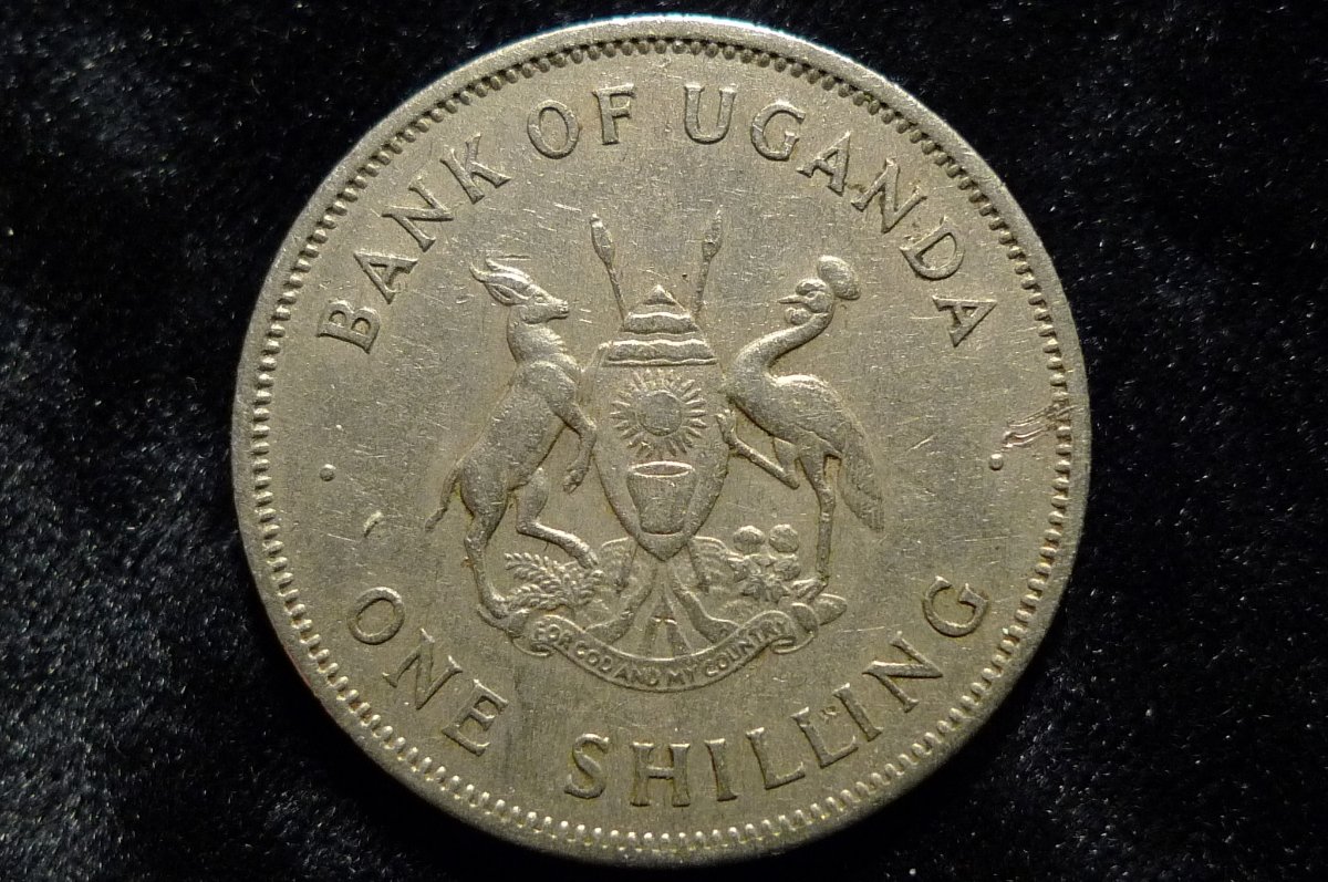 Post-Your-Sun-Face,-Sunrise,-Or-Sunset-Coins!