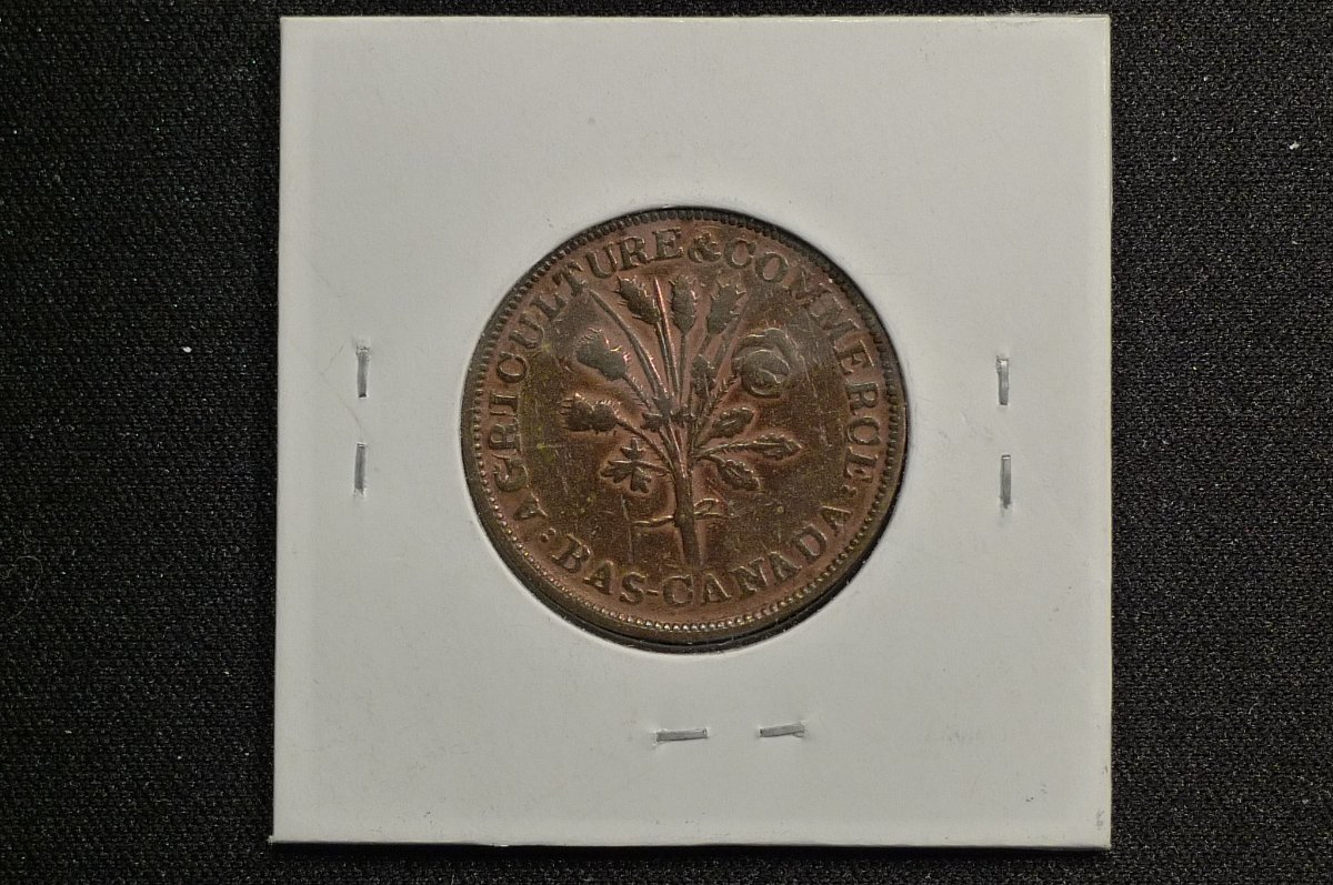 Yet-Another-Forum-Game---Numismatic-Go-Fish!