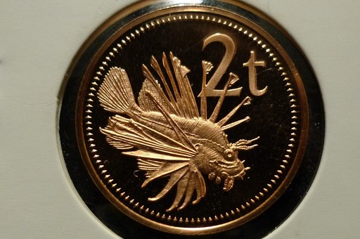 Yet-Another-Forum-Game---Numismatic-Go-Fish!