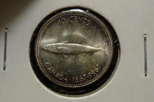 Yet-Another-Forum-Game---Numismatic-Go-Fish!