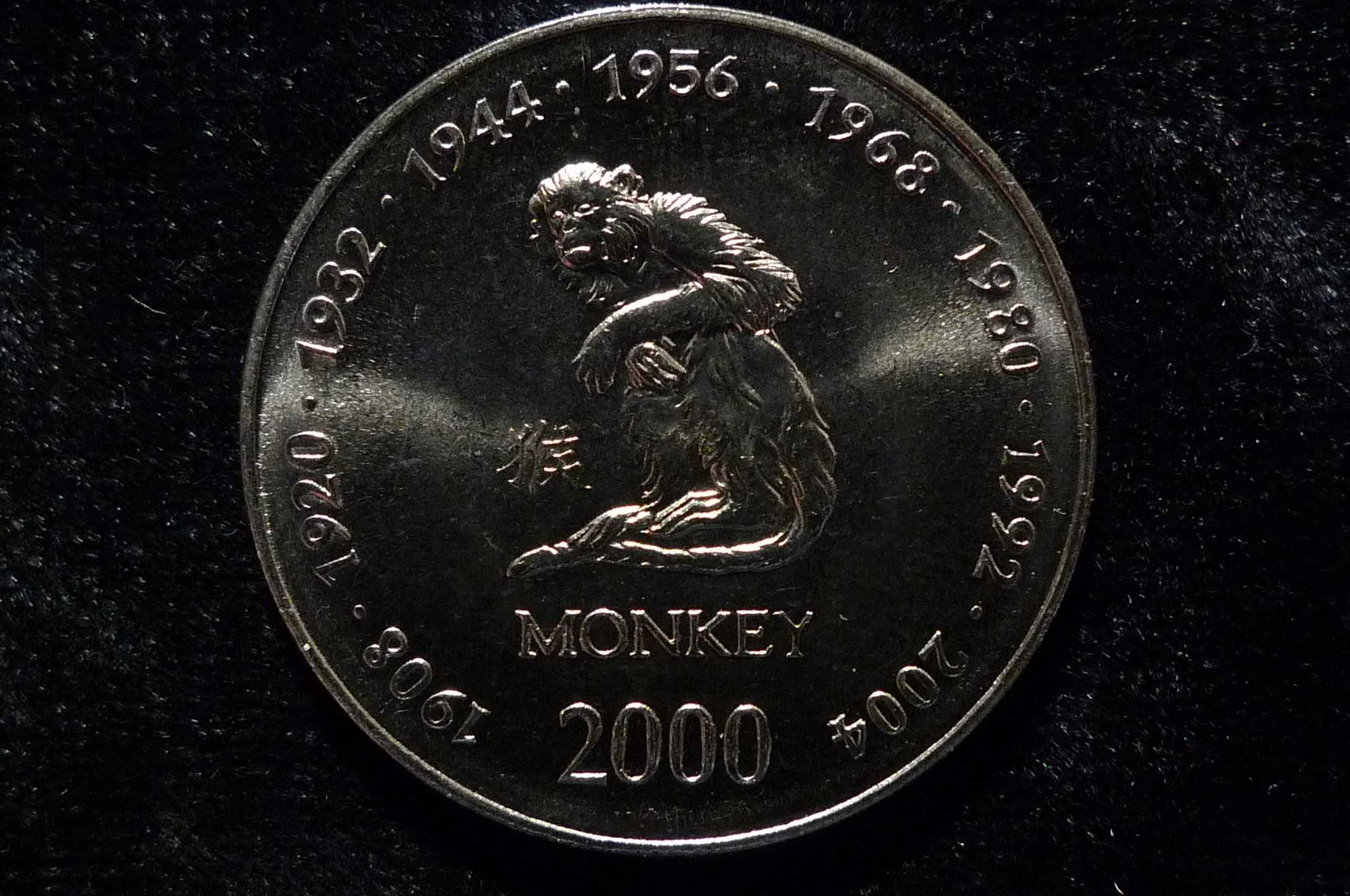 Post-Your-Coins-With-Monkeys,-Apes-And-Other-Primates