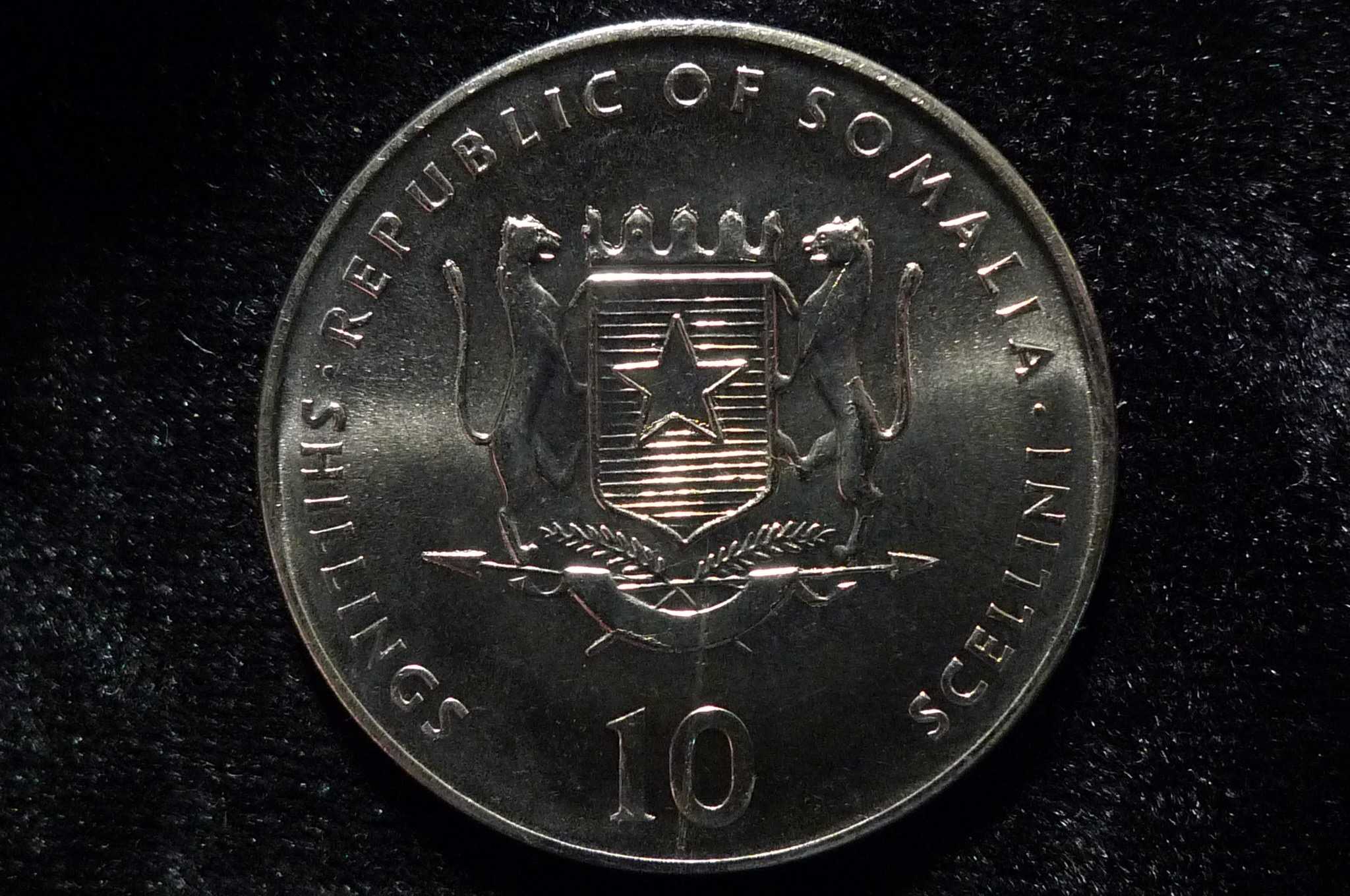 Post-Your-Coins-With-Monkeys,-Apes-And-Other-Primates