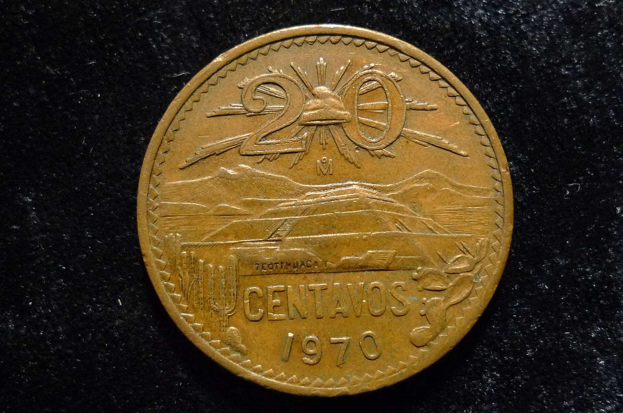 Post-Your-Sun-Face,-Sunrise,-Or-Sunset-Coins!