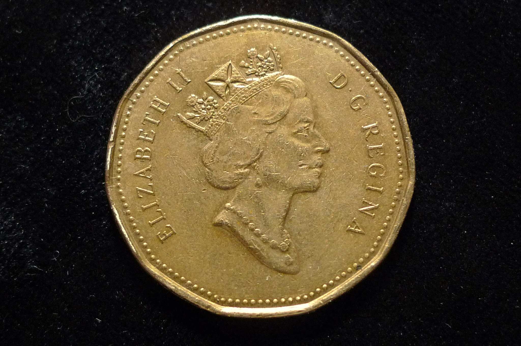 Interesting-Find-From-Circulation