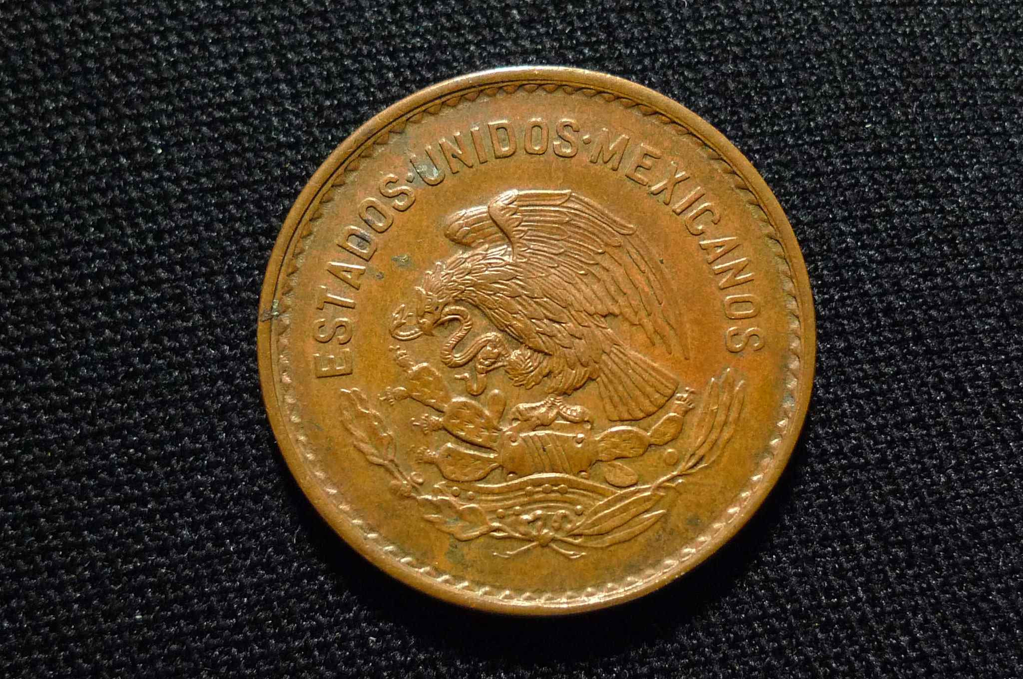 Post-Your-Coins-With-Hats