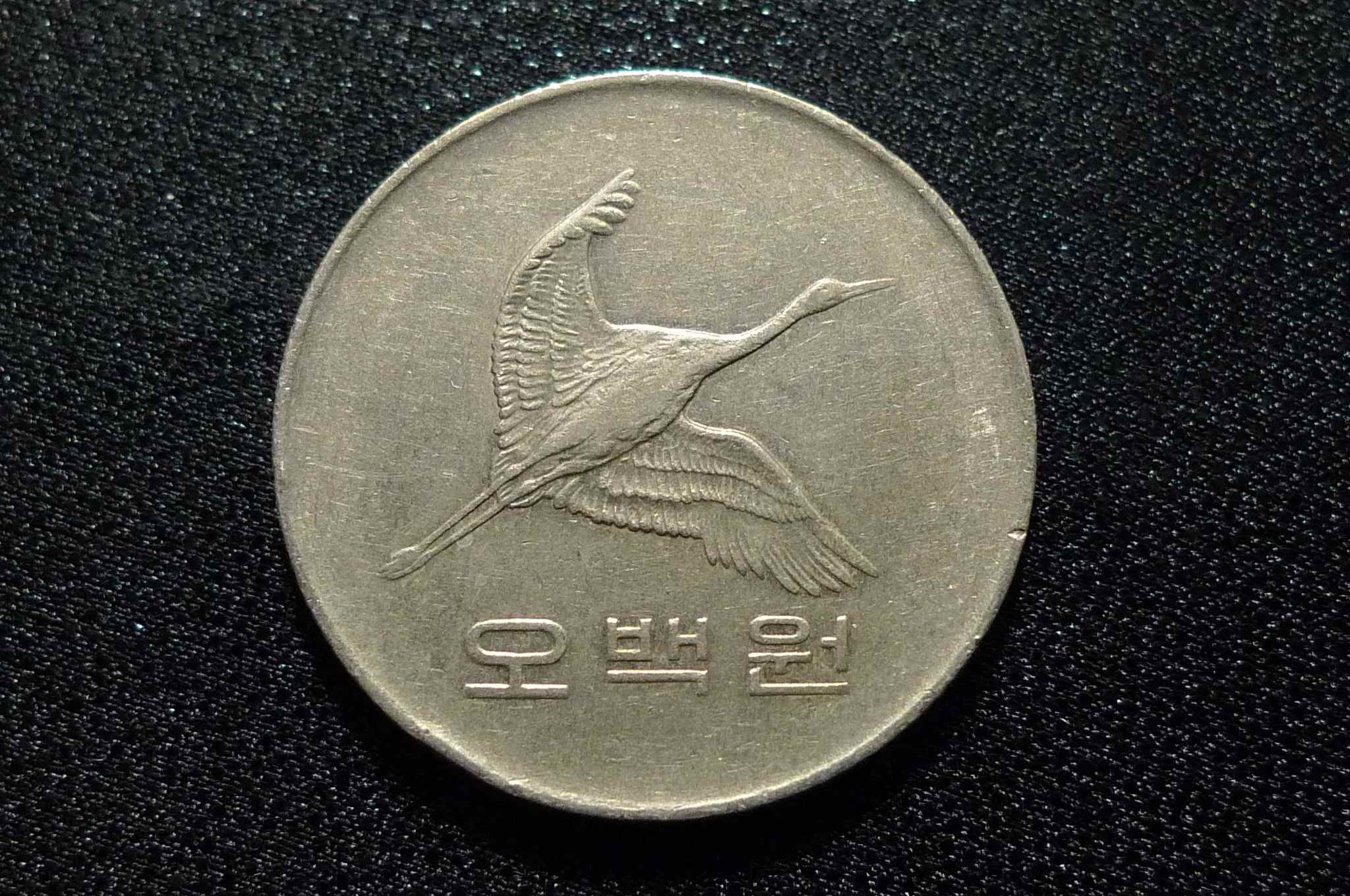 Post-Your-Coins-Representing-The-Animal-Kingdom.