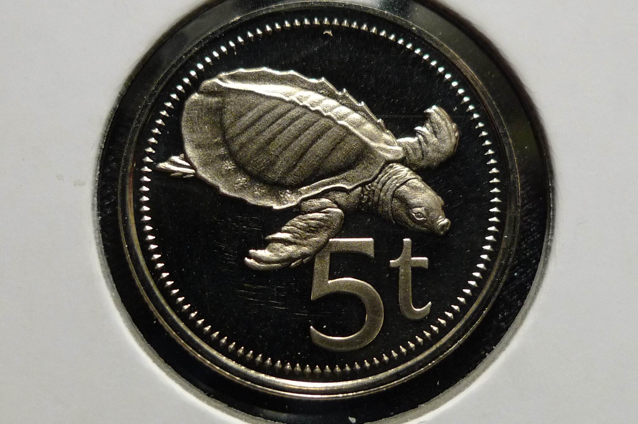 Around-The-World-With-Coins---A-Coin-Geography-Game