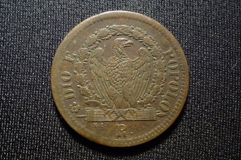 Post-Your-Coins-Representing-The-Animal-Kingdom.