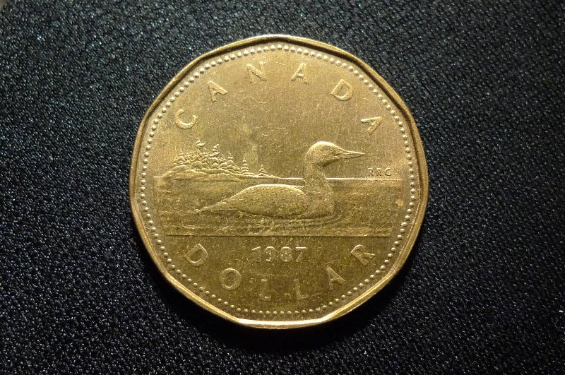 Interesting-Find-From-Circulation