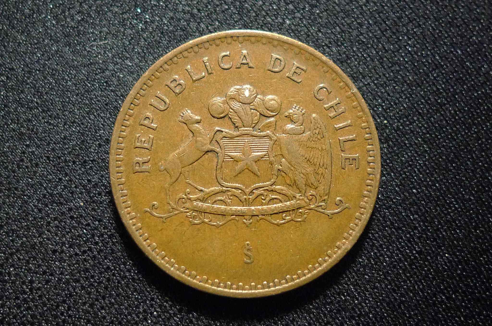 Post-Your-Coins-Representing-The-Animal-Kingdom.