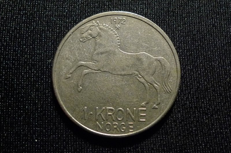 Post-Your-Coins-With-Horses
