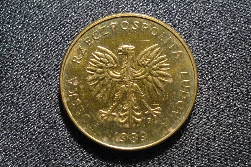Post-Your-Bird-Coins