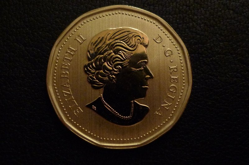 Post-Your-Bird-Coins