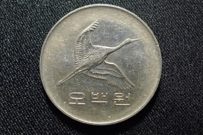 Post-Your-Bird-Coins