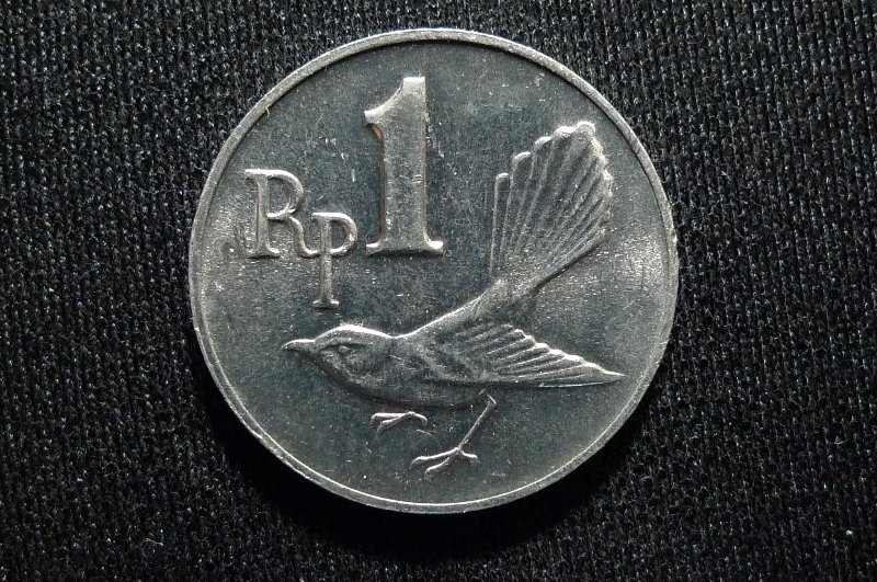 Post-Your-Bird-Coins