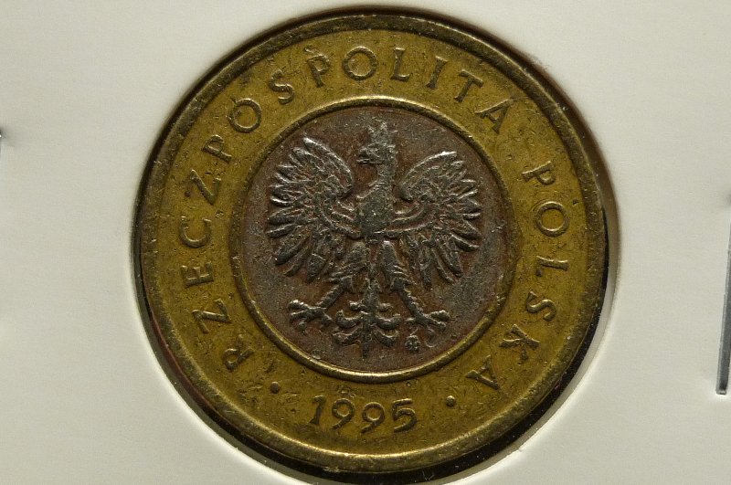 Post-Your-Bird-Coins