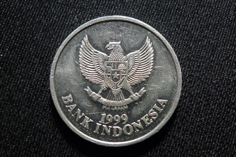 Post-Your-Bird-Coins