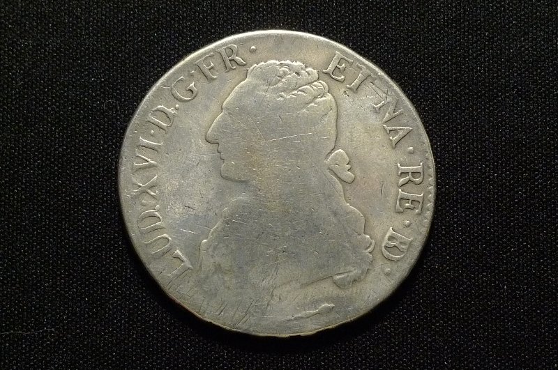 Post-Your-Coins-Representing-The-Animal-Kingdom.