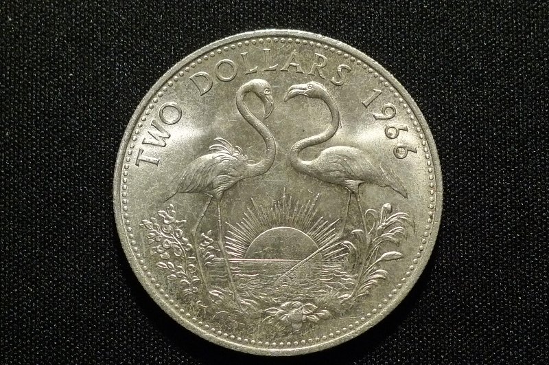 Post-Your-Bird-Coins