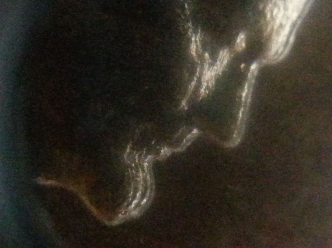 1961-D-Lincoln...struck-Multiple-Times?
