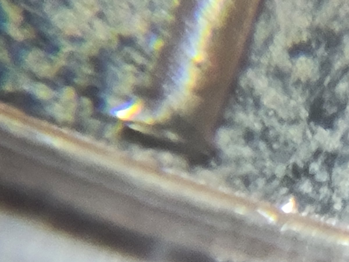 1976-Dollar-Proof-Ike-Double-Die-Found