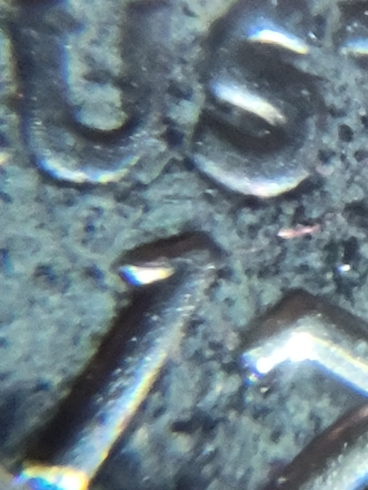 1976-Dollar-Proof-Ike-Double-Die-Found