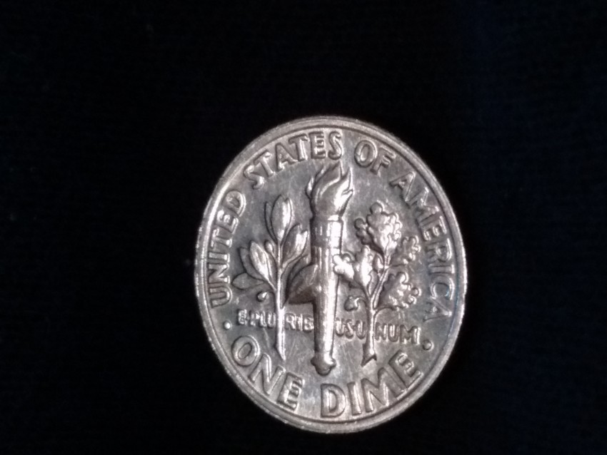 Coolest-Roosevelt-Dime-Ever-1999