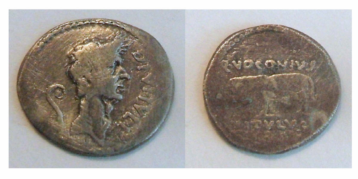 Another-Julius-Caesar-Real-Or-Fake?