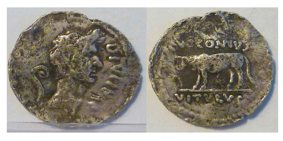 Another-Julius-Caesar-Real-Or-Fake?