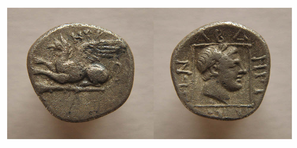 Griffins