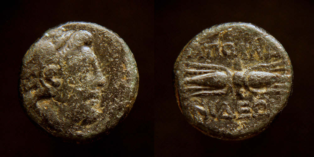 New-Greek-Coin