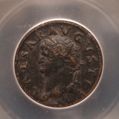 Excavating--A-Dupondius