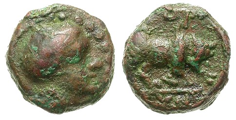 Ummm,-Can-Anybody-Identify-This-Bull-Coin?