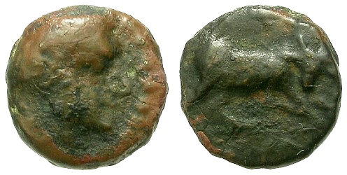 Ummm,-Can-Anybody-Identify-This-Bull-Coin?