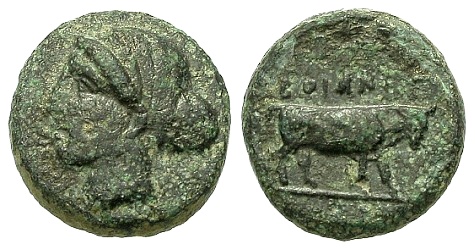 Ummm,-Can-Anybody-Identify-This-Bull-Coin?